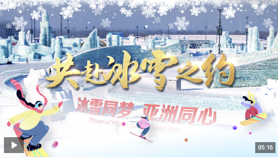 费南多的入